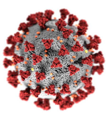 Representation of the COVID-19 virus